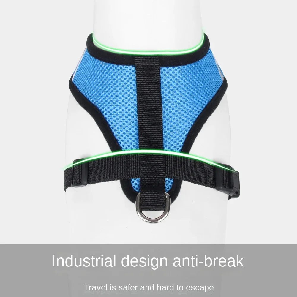 Soft Mesh Cat & Small Dog Harness with Leash