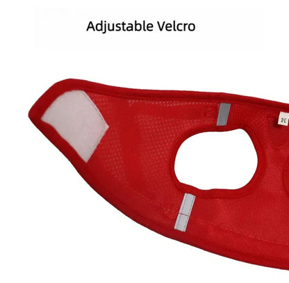 Reflective Escape-Resistant Cat Harness & Leash