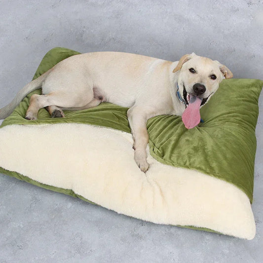 Washable Winter Pet Sofa Bed