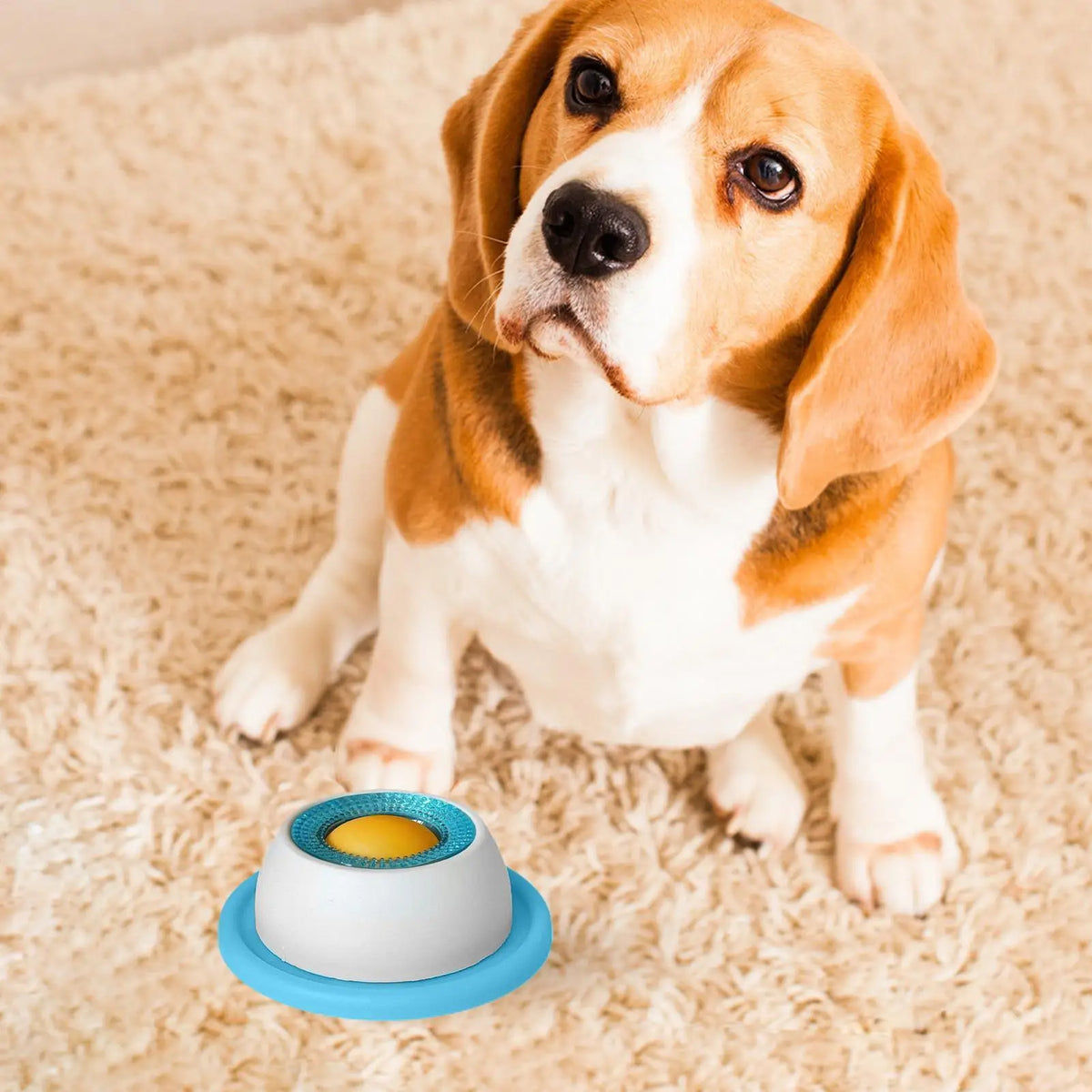 Dog Treat Puzzle Toy