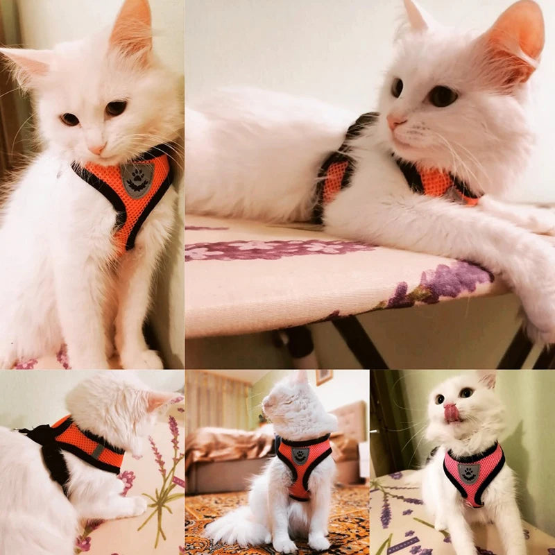 Soft Mesh Cat & Small Dog Harness with Leash