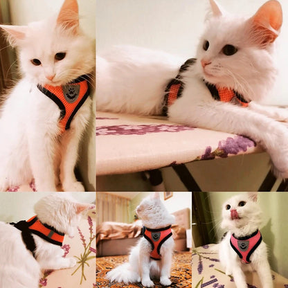 Soft Mesh Cat & Small Dog Harness with Leash