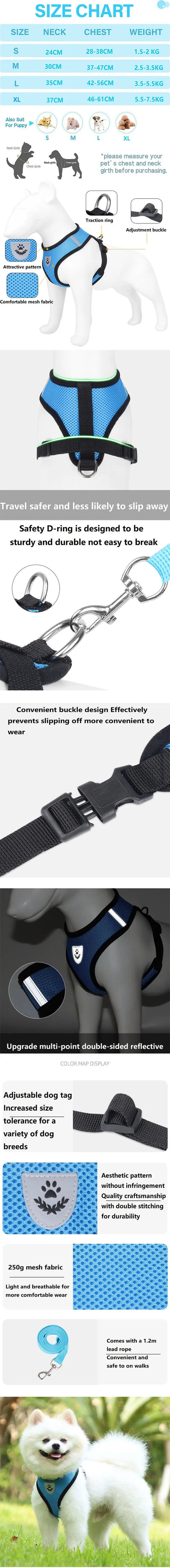 Reflective Cat Harness & Leash Set