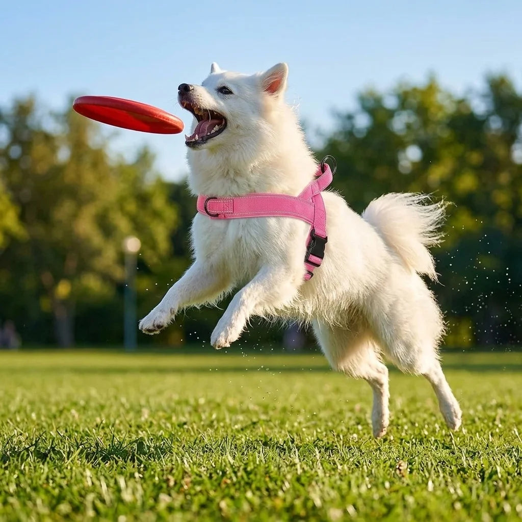 Heavy-Duty Reflective Dog Harness