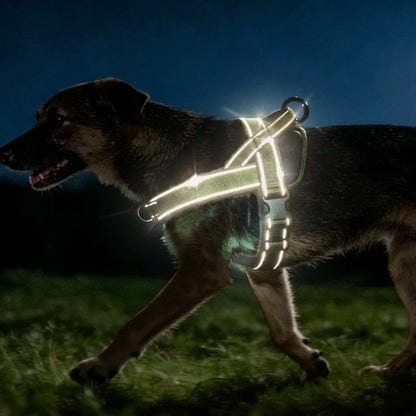 Heavy-Duty Reflective Dog Harness