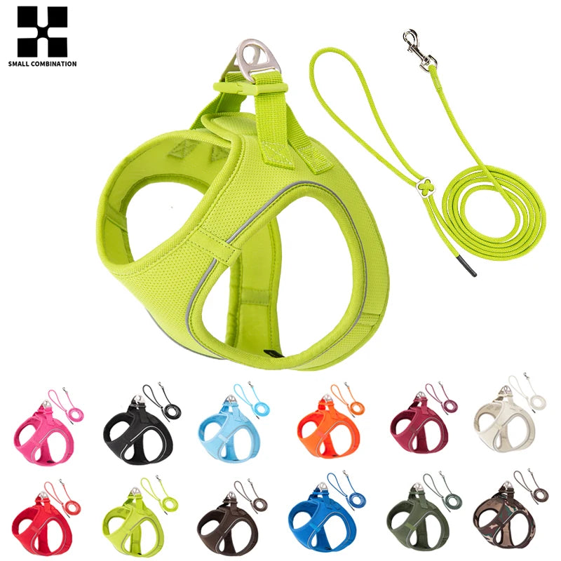 Reflective Adjustable Dog Harness & Leash Set
