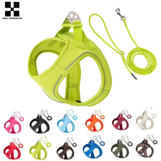 Reflective Adjustable Dog Harness & Leash Set
