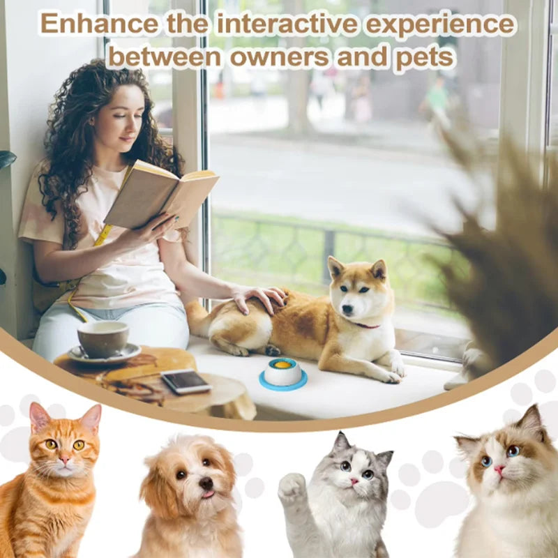 New Dog supplies Anti-overturning Pet toys anti-greedy bite-resistant anti-boring artifact kittens cats dog licking supplies