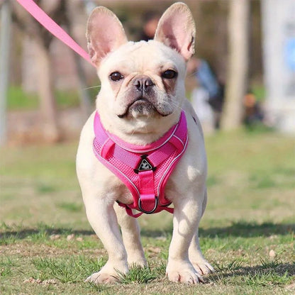 Reflective No-Pull Harness & Leash Set