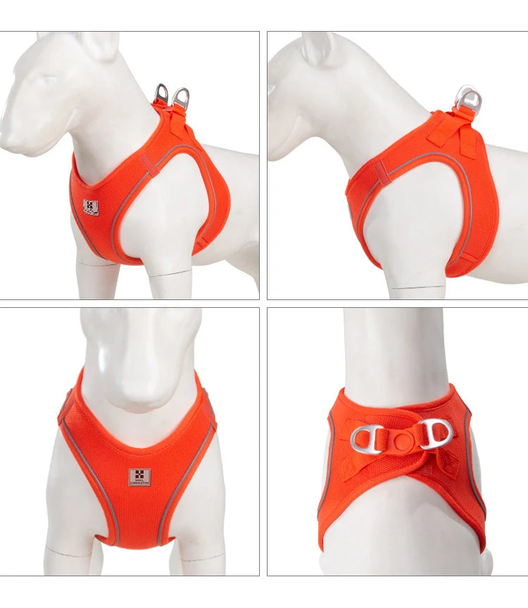 Reflective Adjustable Dog Harness & Leash Set