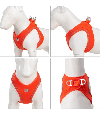 Reflective Adjustable Dog Harness & Leash Set