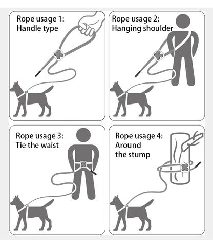 Reflective Adjustable Dog Harness & Leash Set