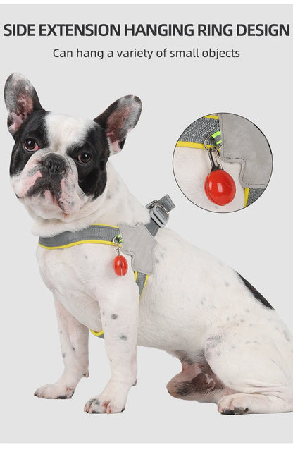 Reflective No-Pull Harness for Small & Medium Dogs