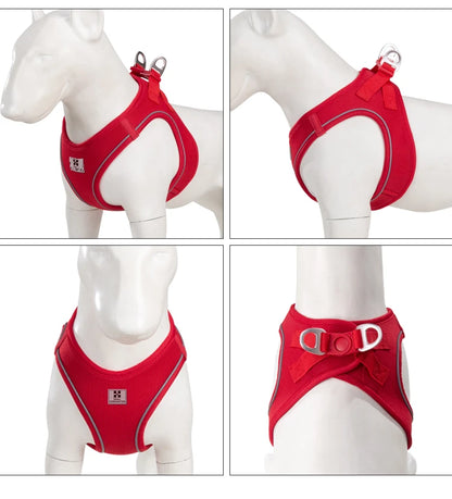 Reflective Adjustable Dog Harness & Leash Set