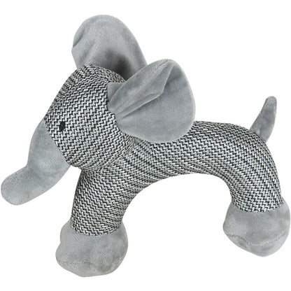 Squeaky Dog Chew Toy
