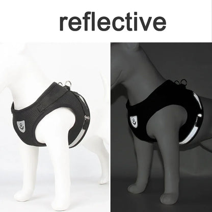 Reflective Escape-Resistant Cat Harness & Leash