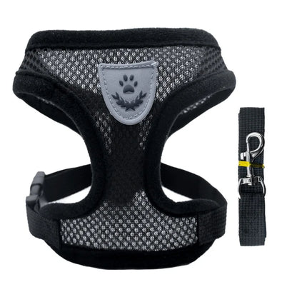 Breathable Mesh Small Pet Harness & Leash
