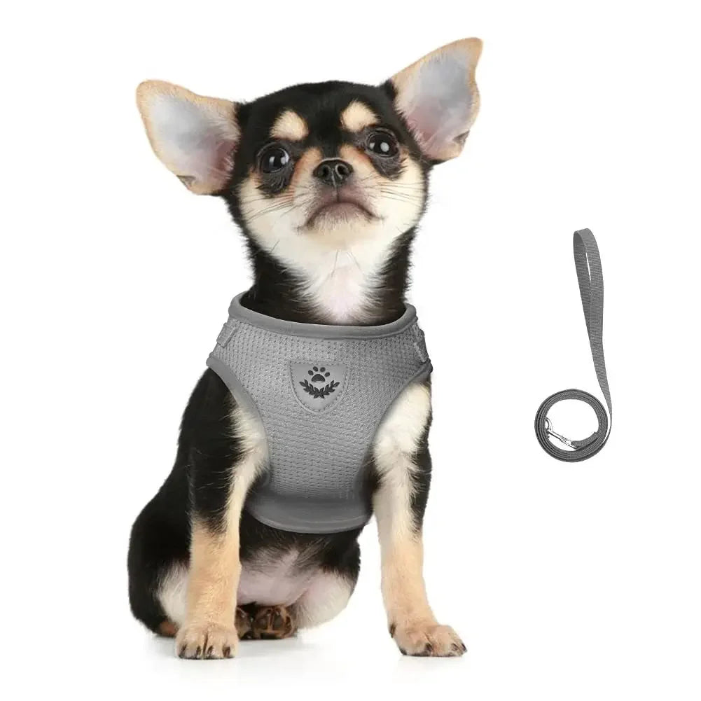 Reflective Escape-Resistant Cat Harness & Leash
