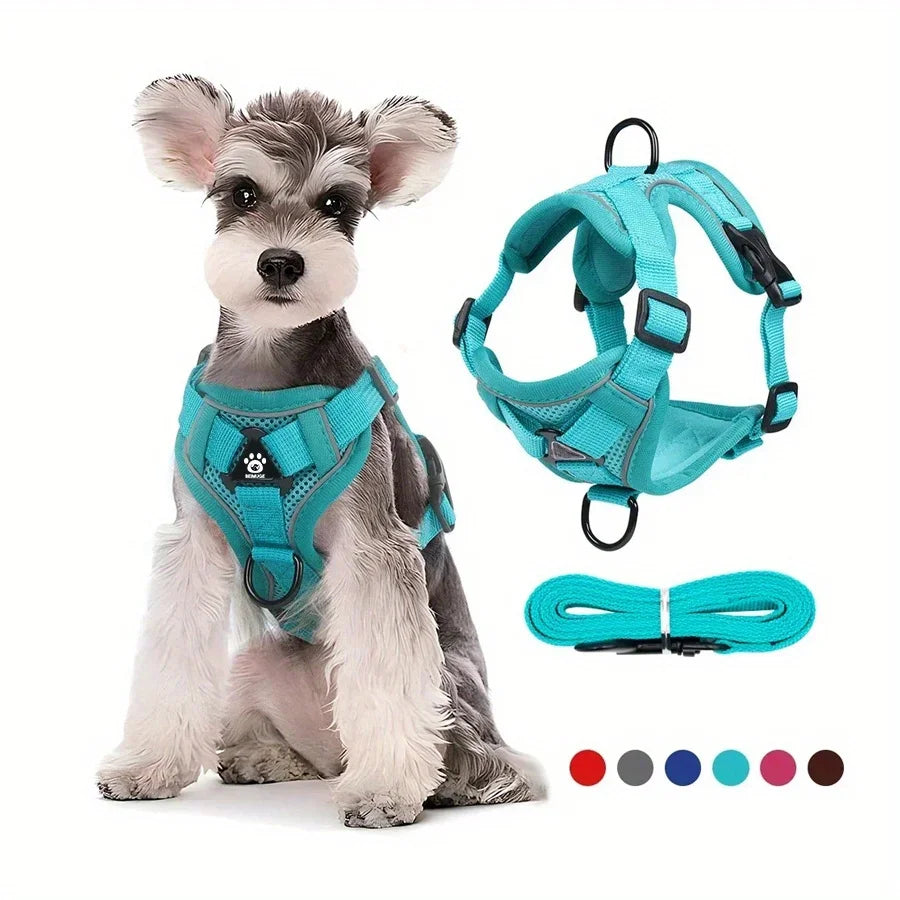 Reflective No-Pull Harness & Leash Set