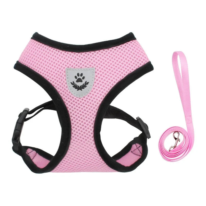 Reflective Cat Harness & Leash Set
