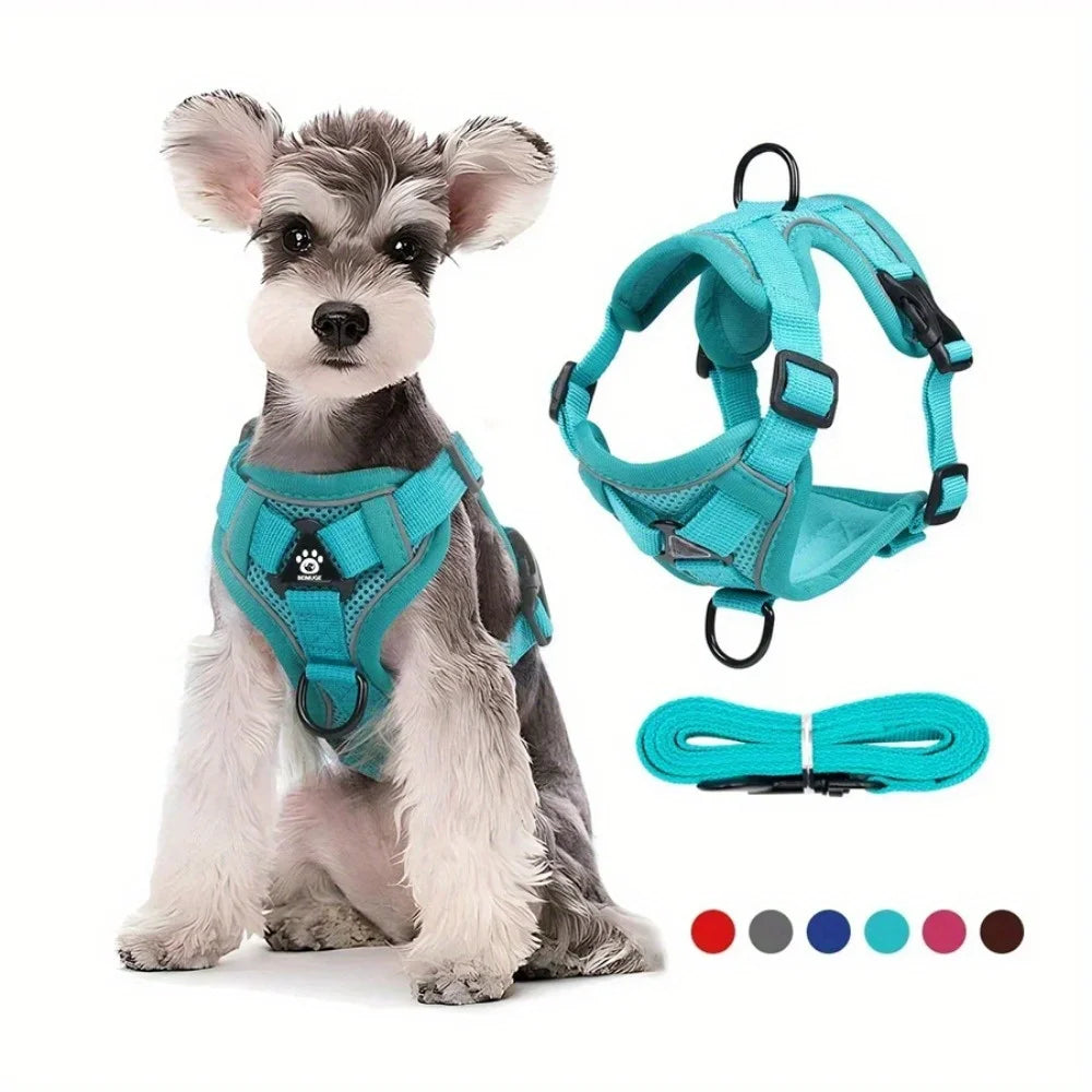 Reflective No-Pull Harness & Leash Set