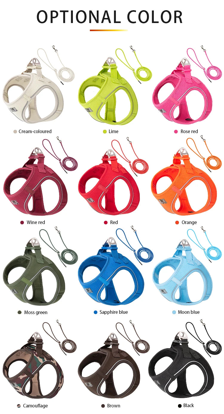 Reflective Adjustable Dog Harness & Leash Set