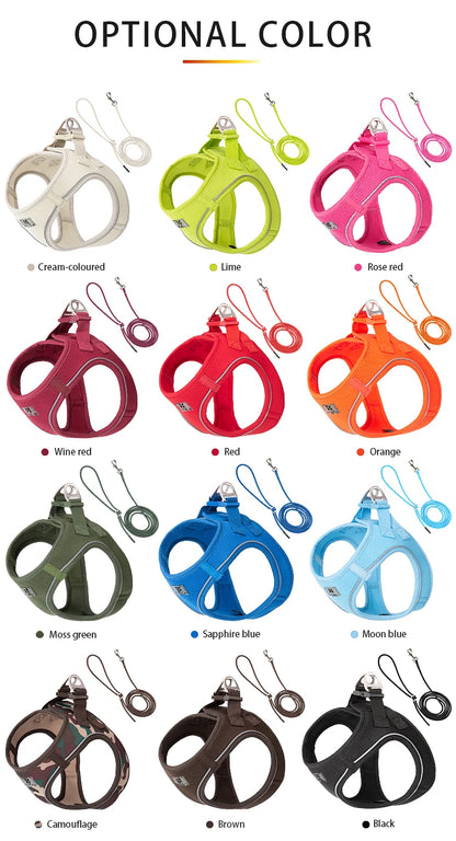 Reflective Adjustable Dog Harness & Leash Set