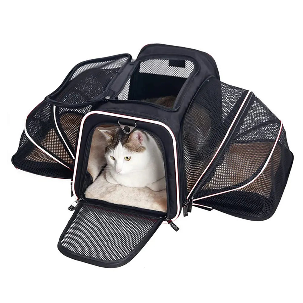 Foldable Breathable Dog & Cat Carrier