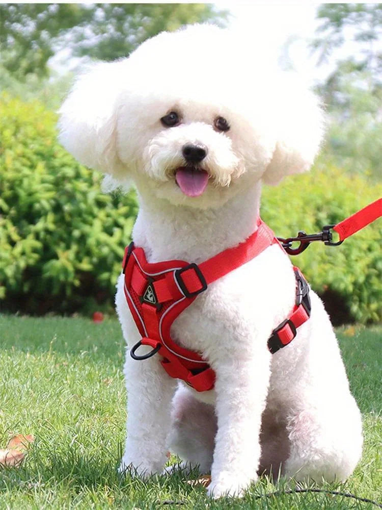 Reflective No-Pull Harness & Leash Set