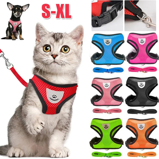 Breathable Mesh Pet Harness & Leash Set