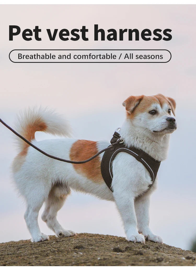 Reflective Adjustable Dog Harness & Leash Set