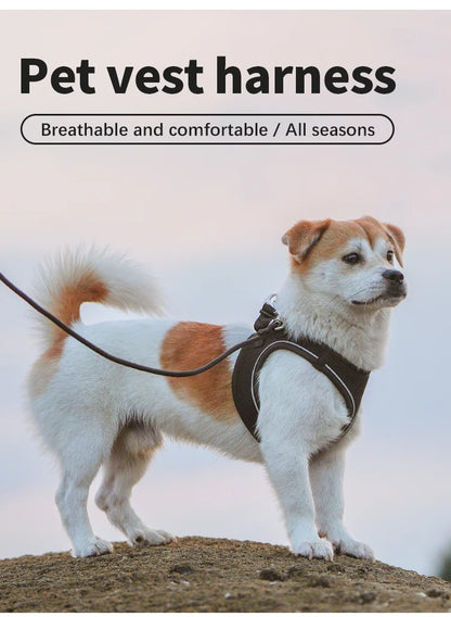 Reflective Adjustable Dog Harness & Leash Set
