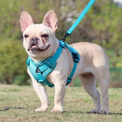 Reflective No-Pull Harness & Leash Set