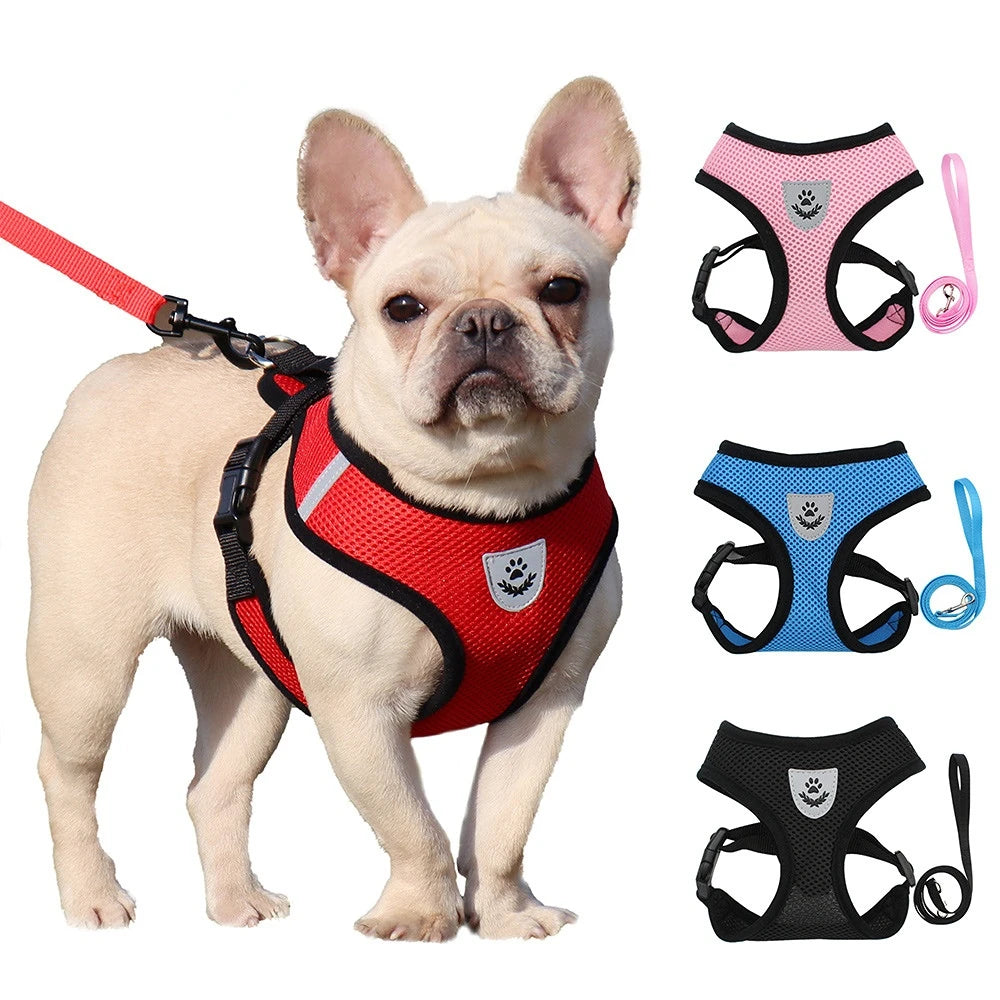 Soft Mesh Cat & Small Dog Harness with Leash