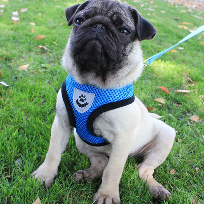 Soft Mesh Cat & Small Dog Harness with Leash