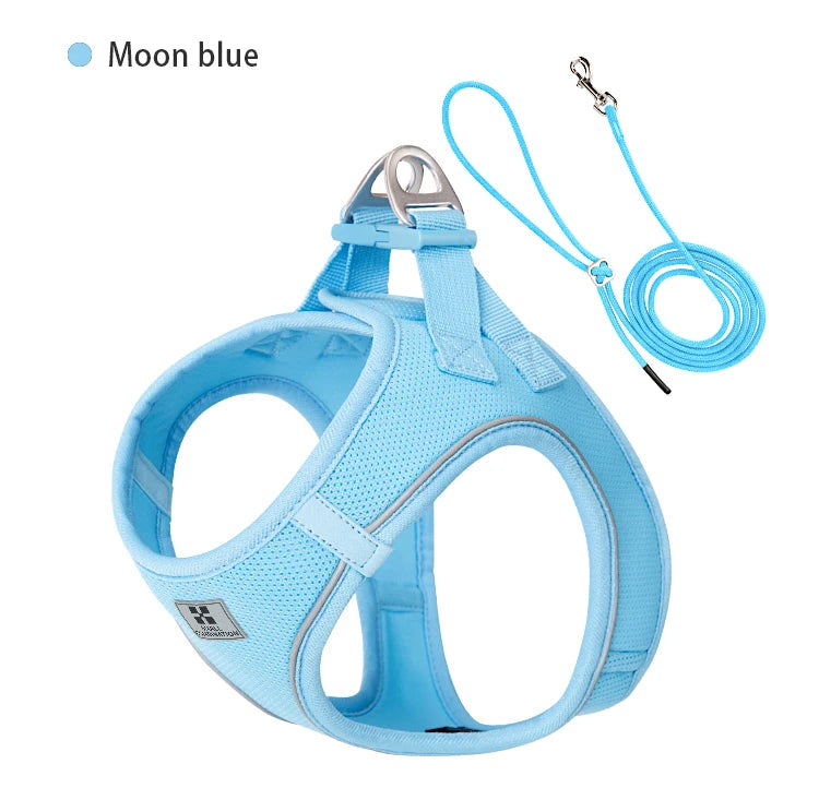 Reflective Adjustable Dog Harness & Leash Set