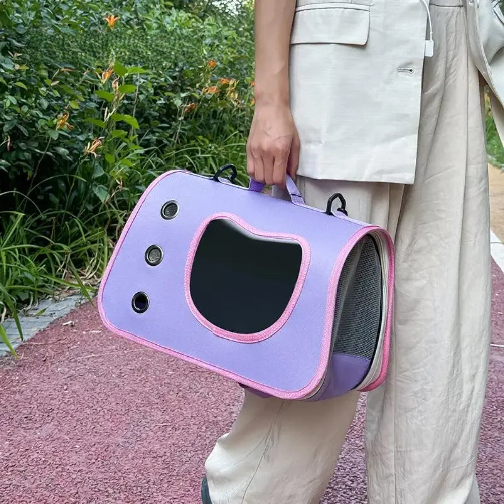 Foldable Small Dog & Cat Carrier
