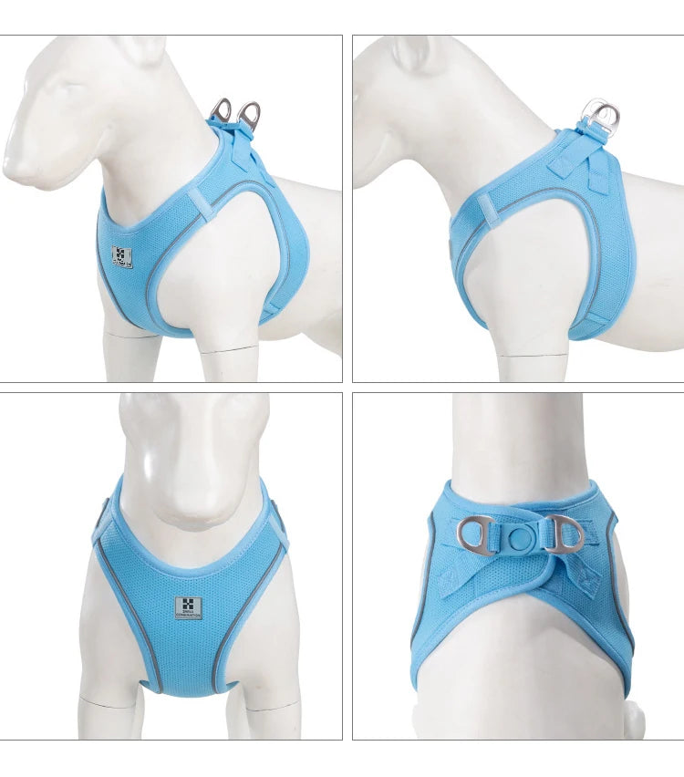 Reflective Adjustable Dog Harness & Leash Set