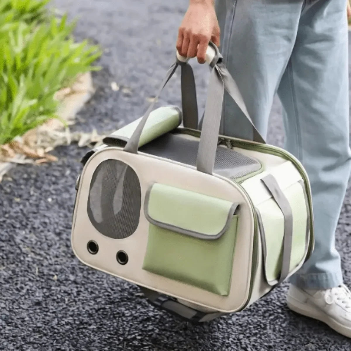 Portable Dog & Cat Travel Carrier