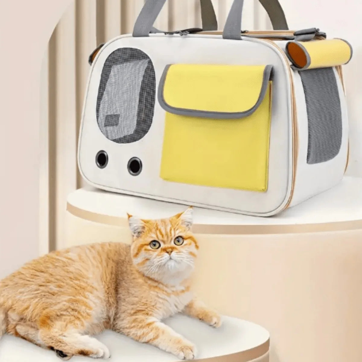 Portable Dog & Cat Travel Carrier