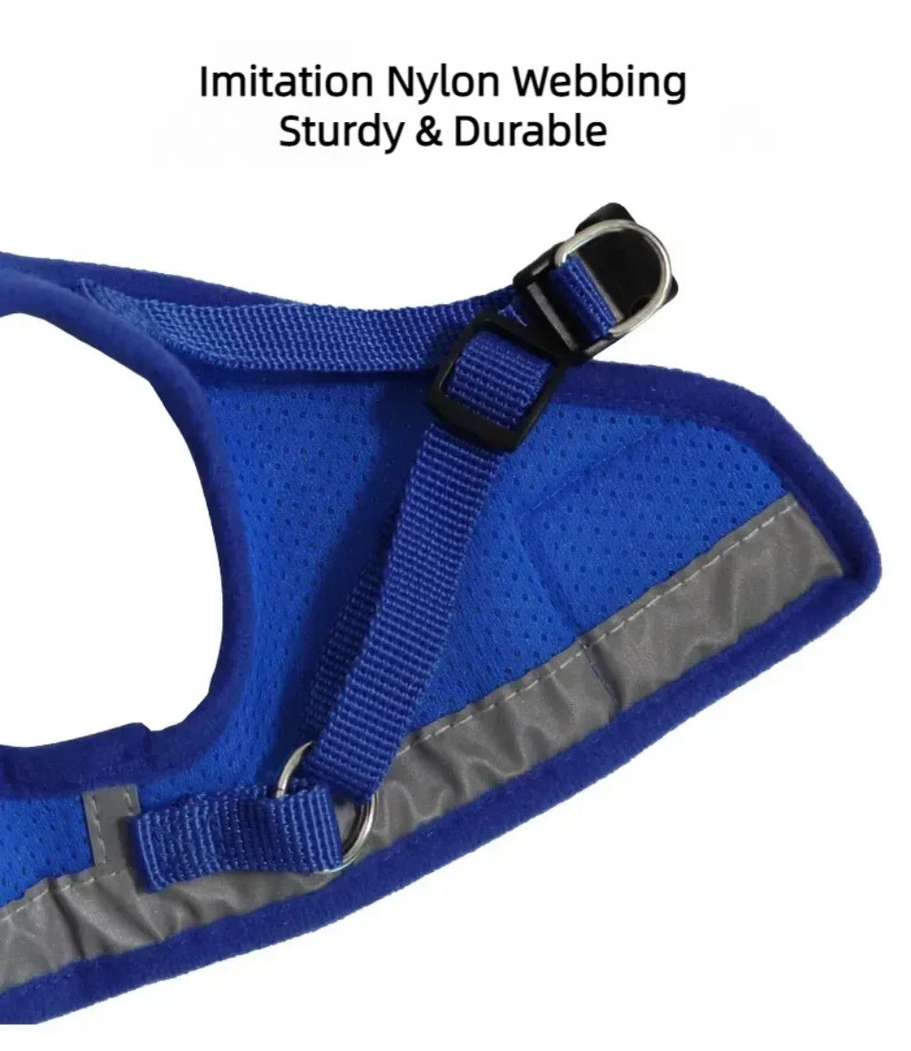 Reflective Escape-Resistant Cat Harness & Leash