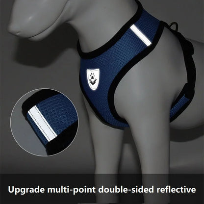 Reflective Cat Harness & Leash Set