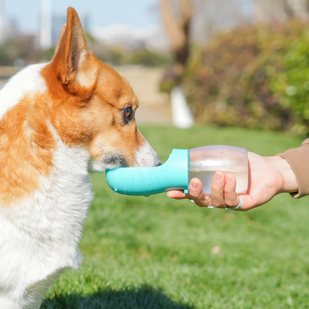 300 mL Portable Dog & Cat Water Bottle