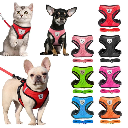 Breathable Mesh Small Pet Harness & Leash