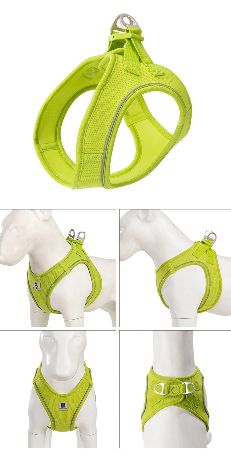 Reflective Adjustable Dog Harness & Leash Set