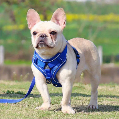 Reflective No-Pull Harness & Leash Set