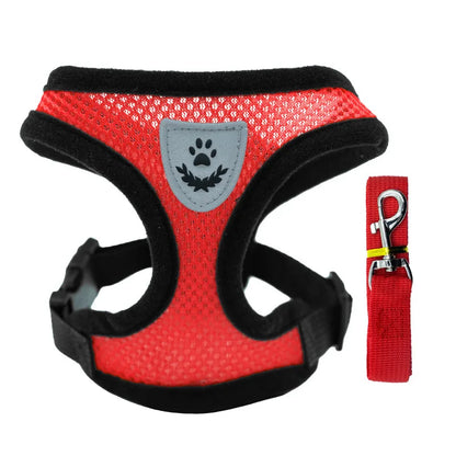 Breathable Mesh Small Pet Harness & Leash