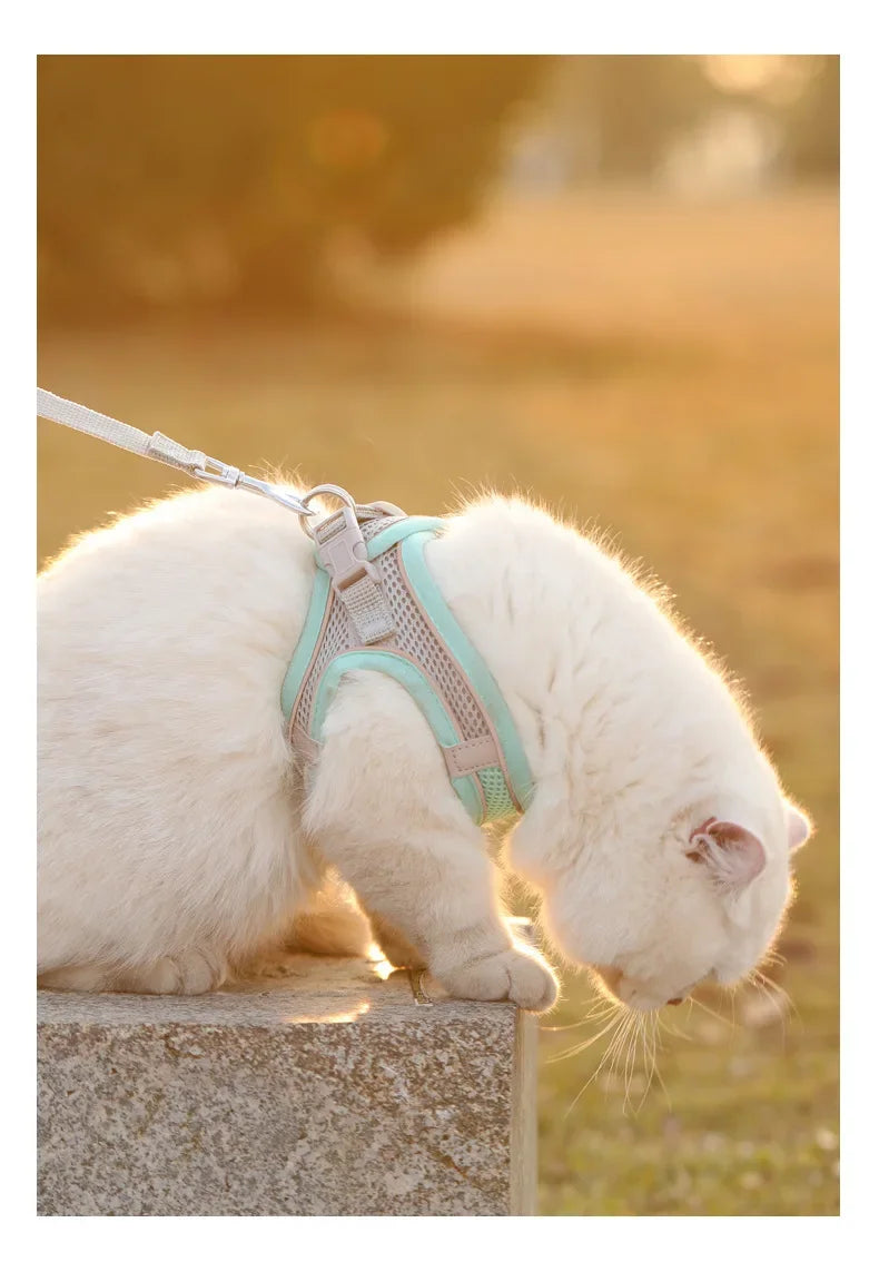 Breathable Reflective Pet Vest Harness