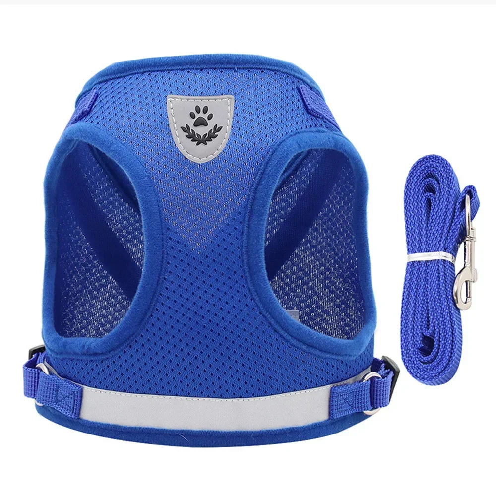 Reflective Escape-Resistant Cat Harness & Leash