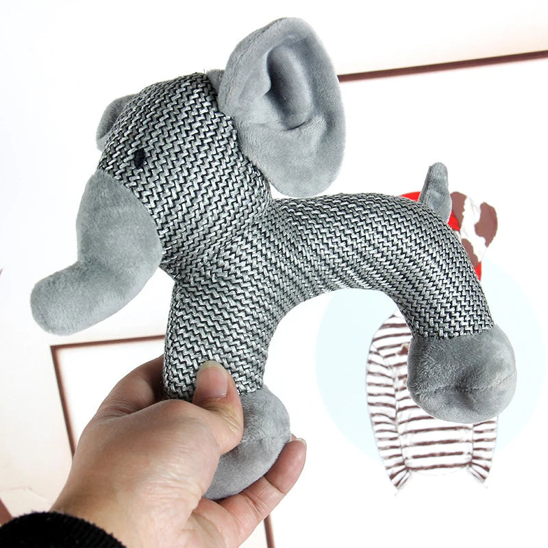Squeaky Dog Chew Toy
